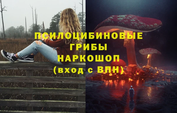 ALPHA-PVP Заводоуковск