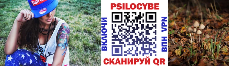 Псилоцибиновые грибы Cubensis  Купить закладки  Менделеевск 